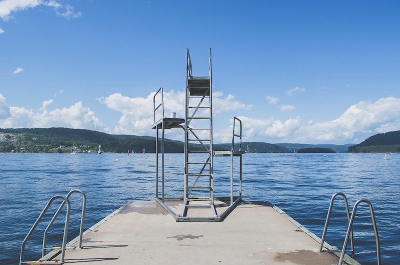 diving-board-pig