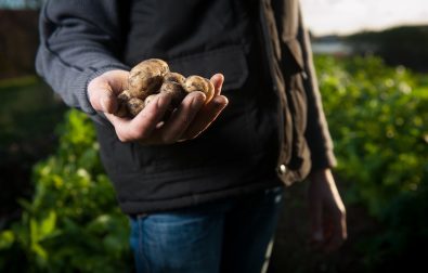 hot-potato-and-oven-mitt-pass