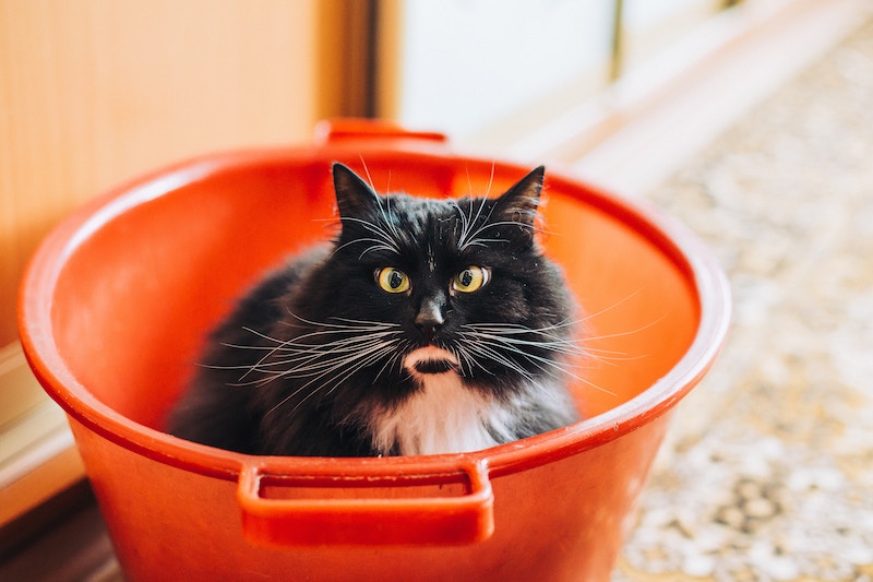 stand-on-the-bucket-2