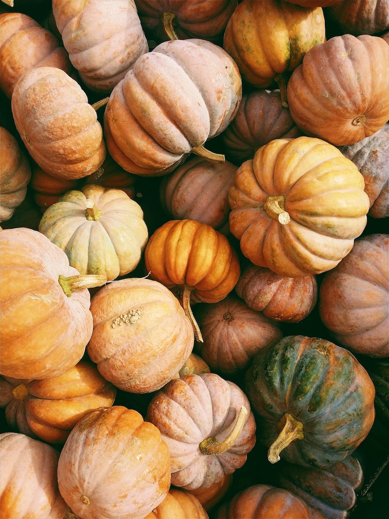 pumpkin-decorating