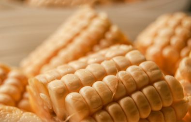 wrestling-in-creamed-corn
