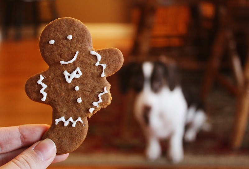 gingerbread-face